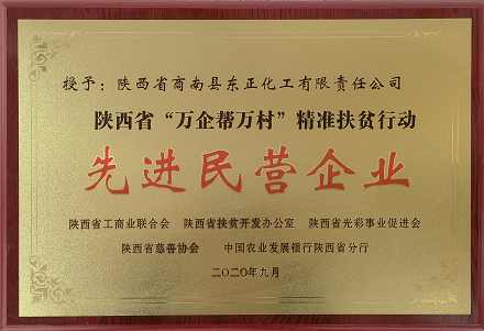 先进民营企业.png